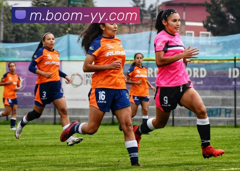 易游体育服务体系